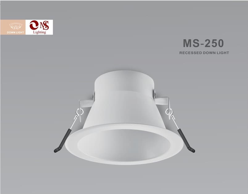 MS-250