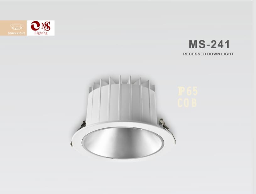 MS-241