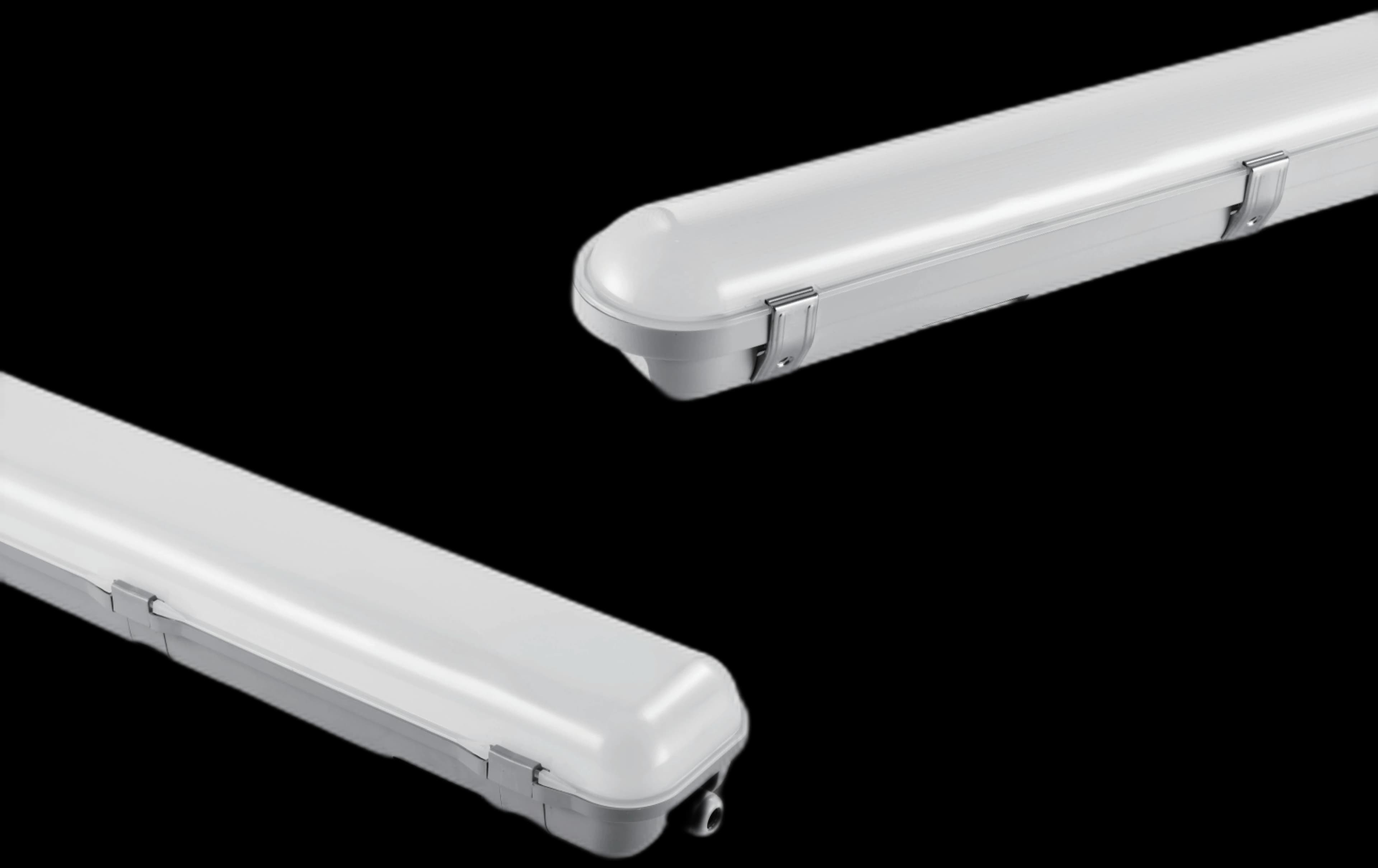 MS-T21 — Linear Light