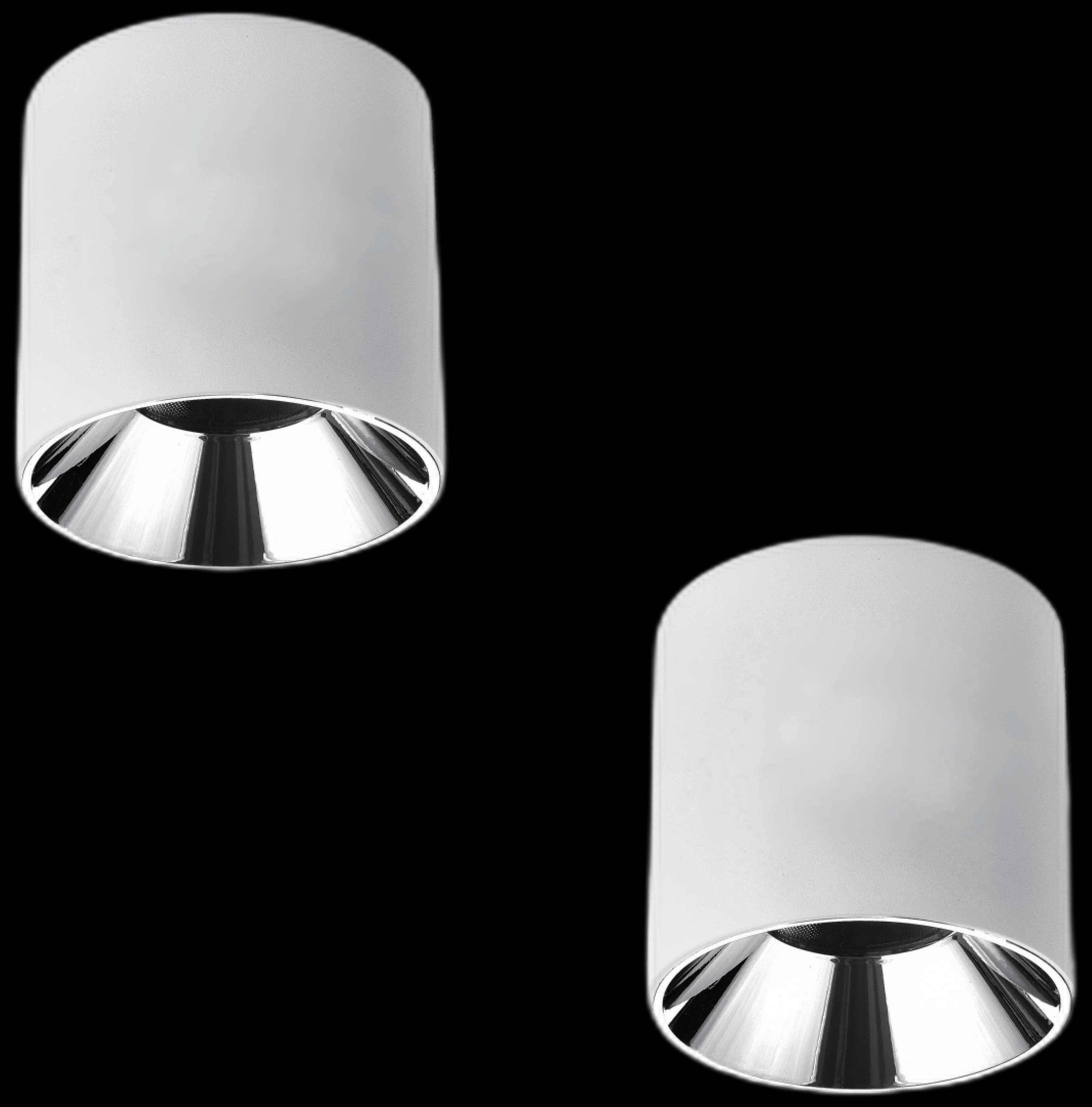 MS-252 — Surface Mounted Down Light