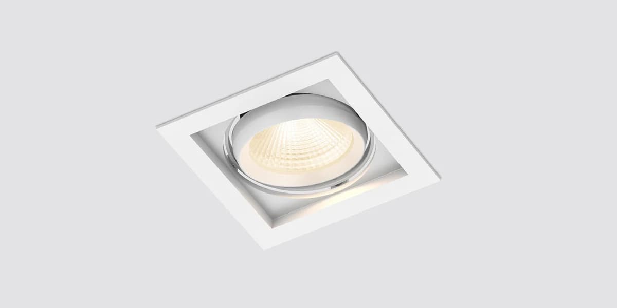 CL113A — Ceiling Light