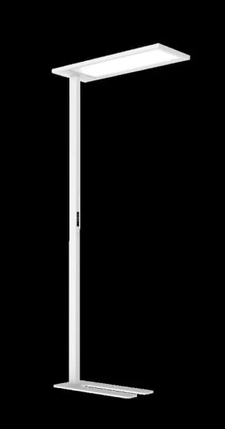 OL06 — Linear Light
